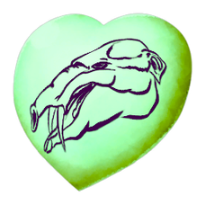 Chibi-Phiomia.png