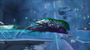 Astrodelphis image.png