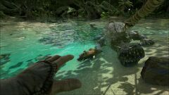 ARK11.jpg