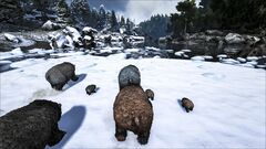 Primal Survival 4.jpg