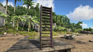 Wooden Ladder PaintRegion1.jpg