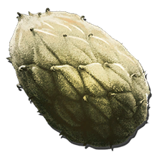 Plant Species Z Seed.png