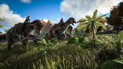ARK36.jpg