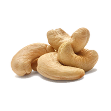 Cashew (Primitive Plus).png