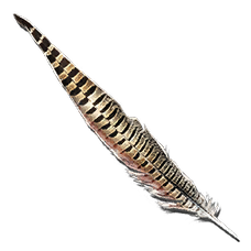 Rock Drake Feather.png