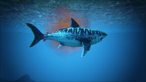 Alpha Megalodon Image.jpg
