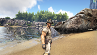 Captain Hat1.png