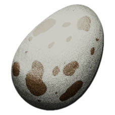 Dodo Egg.png