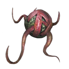 Plant Species Y Trap.png