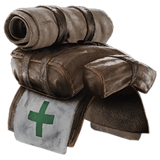 Companion Medpack.png