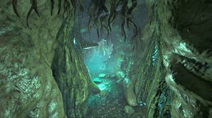 Darkwood Tunnel (Genesis Part 1).jpg