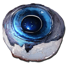 Alpha Tusoteuthis Eye.png