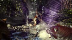 ARK40.jpg