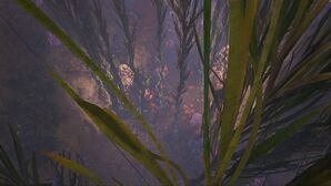 Sunken Jungle (Genesis Part 1).jpg