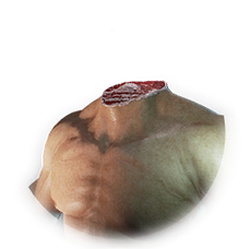 Headless Costume Skin.png