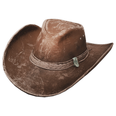 Outlaw Hat Skin.png