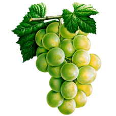 Grapes (Primitive Plus).png