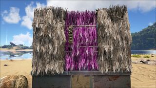 Thatch Door PaintRegion1.jpg