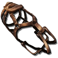 Tusoteuthis Saddle.png