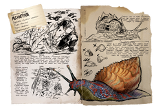 Dossier Achatina.png
