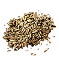 Oryraise Seed.png