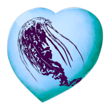 Chibi-Cnidaria.png