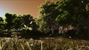 Halcyon Plains (Crystal Isles).jpg