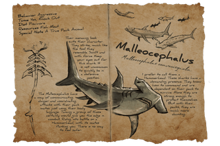 Dossier Malleocephalus.png