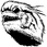 Sinomacrops.png