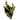 Forest Titan Trophy.png