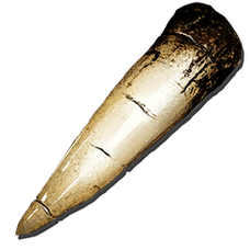 Alpha Tyrannosaur Tooth.png