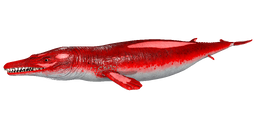 Basilosaurus PaintRegion0.png