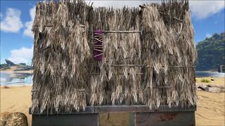 Thatch Door PaintRegion2.jpg