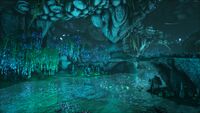 Biome Bio-Luminescent Chamber.jpg