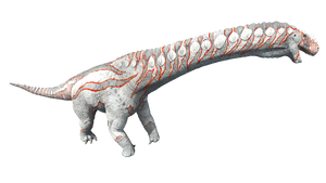 Dreadnoughtus PaintRegion0 ASA.png