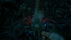 ARK23.jpg