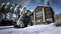 ARK35.jpg