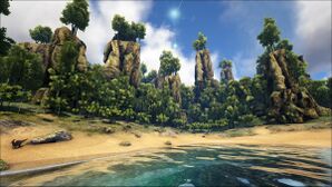 Jungle North Beach (The Center).jpg