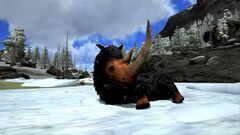 ARK Mobile 15.jpg