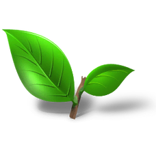 Fresh Tea Leaves (Primitive Plus).png