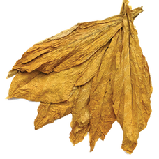 Fresh Tobacco (Primitive Plus).png