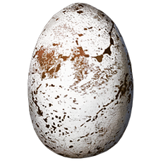 Fjordhawk Egg.png