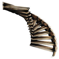 Wooden Staircase.png