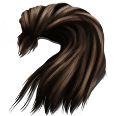 Human Hair.png