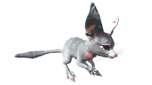 Jerboa PaintRegion2 ASA.png