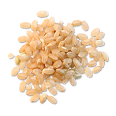 Dried Rice (Primitive Plus).png