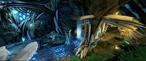 Extinction Forest Cave middle section.jpg