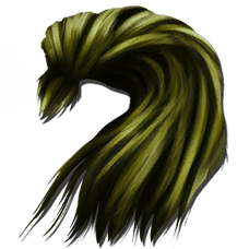 Hairstyle.png