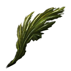 Seaweed.png