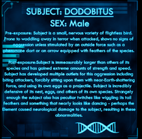 Dossier Dodobitus.png
